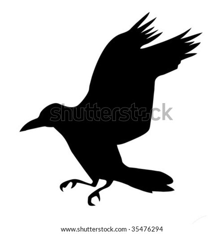 raven wallpaper. ravens on white background
