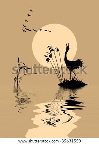 vector silhouette of the birds on lake