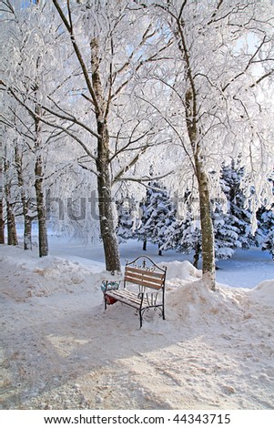 bench in winter garden