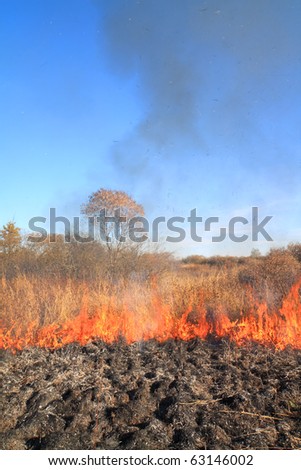 fire on autumn field