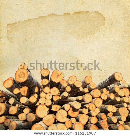 birch firewood on grunge background