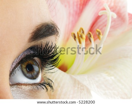 Beautiful lines in nature. Close-up of woman hazel eye. Pink flower on background.