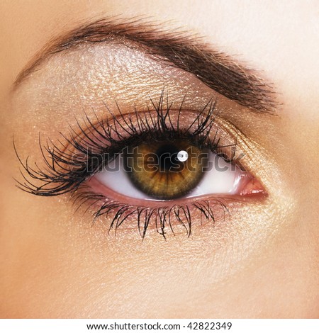 Beautiful Eye Stock Photo 42822349 : Shutterstock