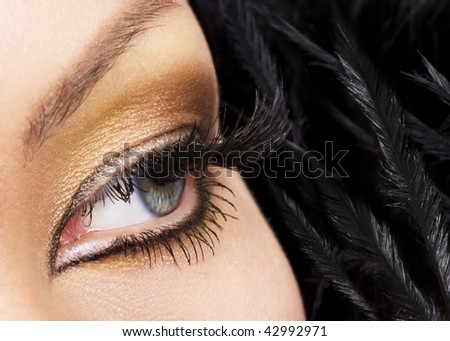 Woman eye with golden makeup and long eyelashes. Black feathers on background.