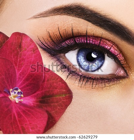 Beautiful Eyes Clipart