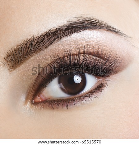 Woman brown eye with pastel color makeup and long eyelashes
