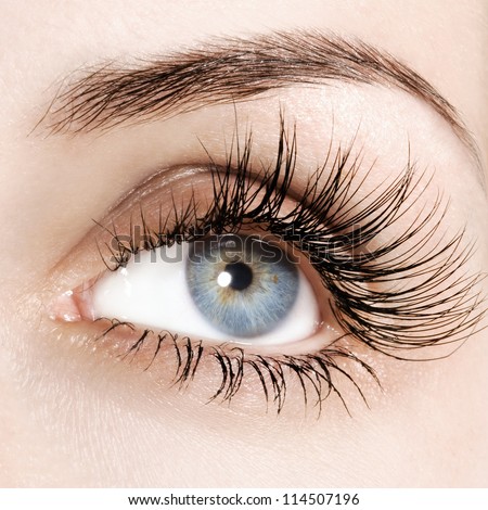 Woman Eye With Extremely Long Eyelashes