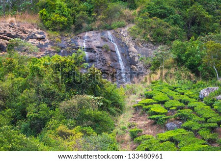 Landscape of the tea plantations with the waterfalls of India Kerala, India