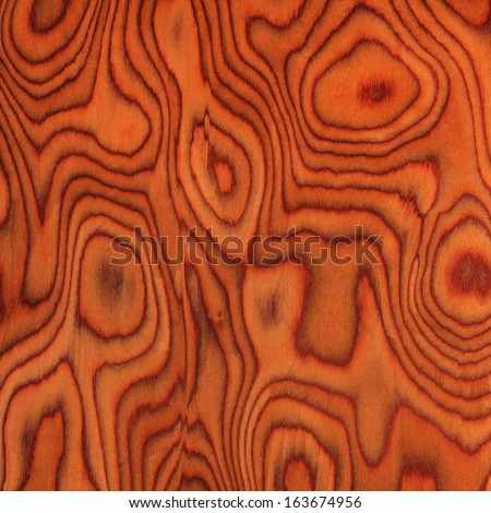 texture of root oak, grain texture