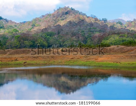 beautiful landscape the mountain and the river in India with reflection. Periyar National Park, Kerala, India