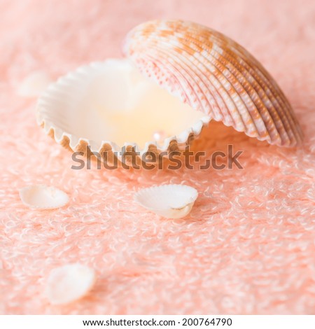 still life seashells and pearl on delicate pink terry texture, closeup