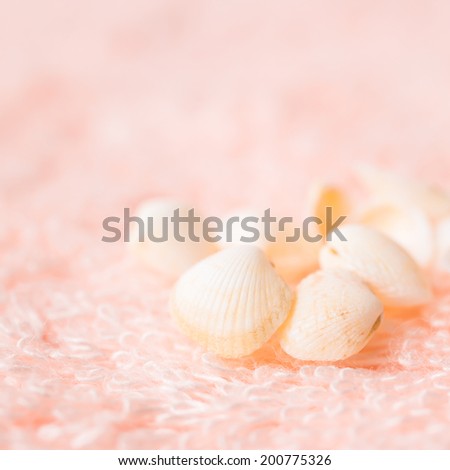 light sea shells on soft pink terry texture, closeup