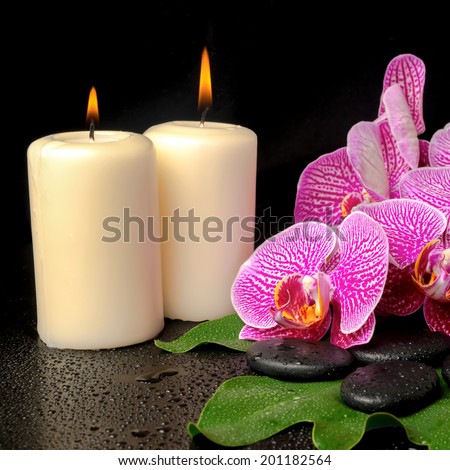 spa setting of blooming twig violet orchid (phalaenopsis) on zen stones with drops, leaf and candles, closeup