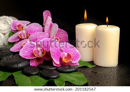 spa setting of blooming twig violet orchid (phalaenopsis) on zen stones with drops, leaf and candles, stacked of towels, closeup