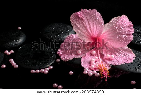 Beautiful spa concept of delicate pink hibiscus, zen stones with drops and pearl beads on water