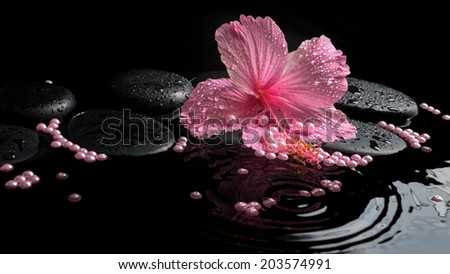 Beautiful spa concept of delicate pink hibiscus, zen stones with drops and pearl beads on ripple water