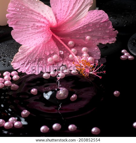 Beautiful spa setting of pink hibiscus, candles, zen stones with drops and pearl beads on ripple reflection water, closeup