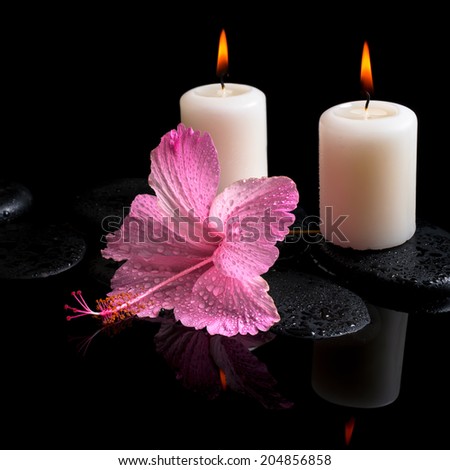 Beautiful spa still life of delicate pink hibiscus, candles, zen stones with drops on reflection water, closeup