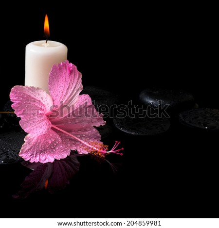 Beautiful spa still life of delicate pink hibiscus, candle, zen stones with drops on reflection water, closeup