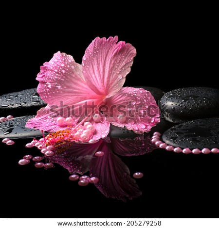 spa still life of pink hibiscus, drops and pearl beads on zen stones with reflection deep water, closeup