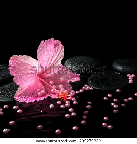Beautiful spa still life of pink hibiscus, drops and pearl beads on zen stones with ripple reflection water, closeup