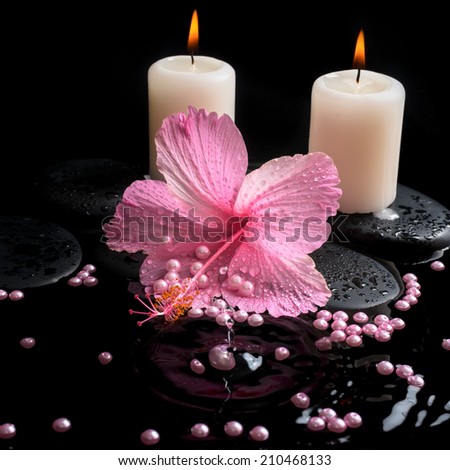 Beautiful spa setting of pink hibiscus, candles, zen stones with drops and pearl beads on ripple reflection water, closeup