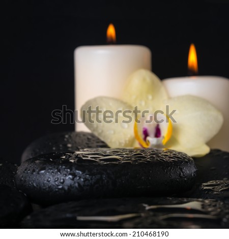 Beautiful spa setting of zen stones with drops closeup, yellow orchid (phalaenopsis), candles and stacked of towels, closeup