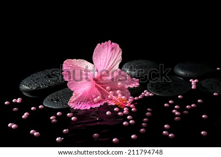 Beautiful spa still life of pink hibiscus, drops and pearl beads on zen stones with ripple reflection water, closeup