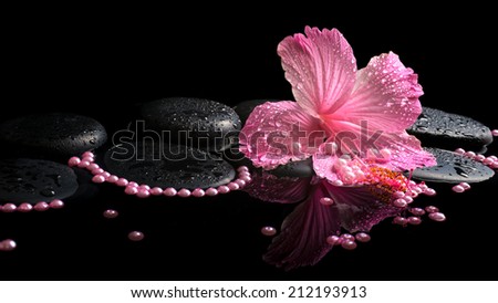 Beautiful spa still life of pink hibiscus, drops and pearl beads on zen stones with reflection deep water, closeup