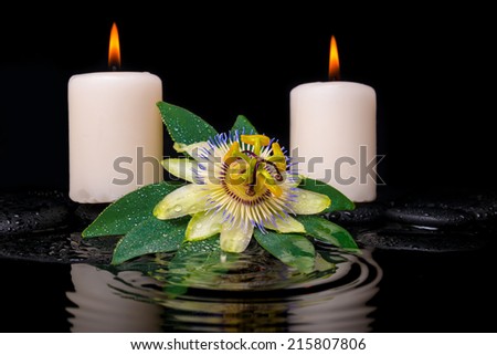 spa setting of passiflora flower, green leaf with drop and candles