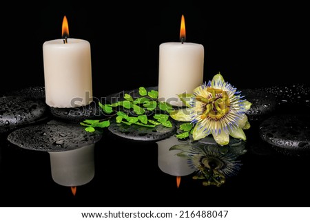 spa still life of passiflora flower, green leaf fern with drop and candles on zen stones in reflection water
