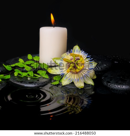 spa still life of passiflora flower, green leaf fern with drop and candle on zen stones in ripple reflection water, closeup
