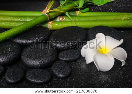 spa concept of zen basalt stones, white flower frangipani and natural bamboo with drops