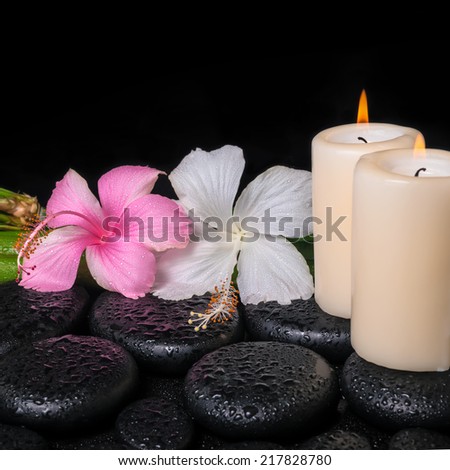spa concept of zen basalt stones, white and pink hibiscus flower, candles on natural bamboo with drops, closeup