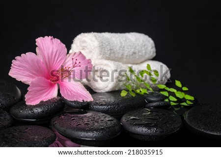 Beautiful spa still life of pink hibiscus, branch fern, drops and towels on zen stones with reflection water