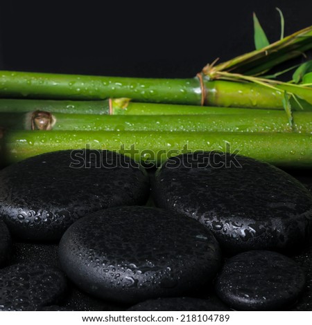 spa concept of zen basalt stones and natural bamboo with drops, closeup
