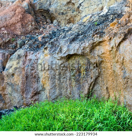 Fresh green grass on rock stone background, India, closeup