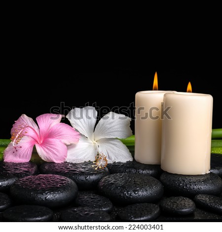 spa concept of white, pink hibiscus flowers, candles and natural bamboo on zen basalt stones with drops, closeup