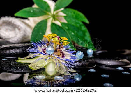 spa setting of passiflora flower, stacked white towels, leaf shefler, zen basalt stones with drops and pearl beads in reflection water