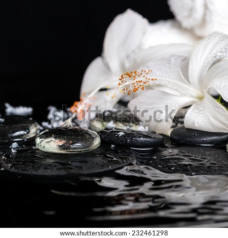 cryogenic spa concept of delicate white hibiscus, zen stones with drops, snow, ice and towels on ripple water, closeup