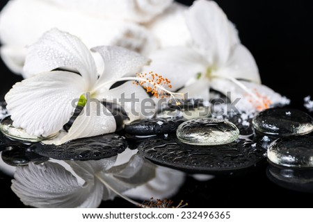 cryogenic spa concept of delicate white hibiscus, zen stones with drops, snow, ice and towels on reflection water
