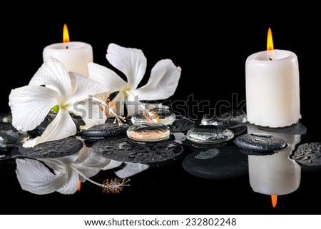 Beautiful spa still life of delicate white hibiscus, zen stones with drops, ice, candles on reflection water