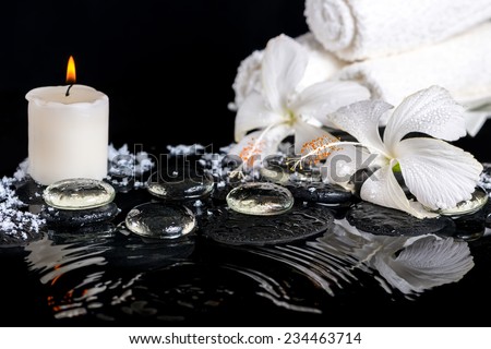 cryogenic spa still life of delicate white hibiscus, zen stones with drops, snow, ice, candles and towels on ripple water