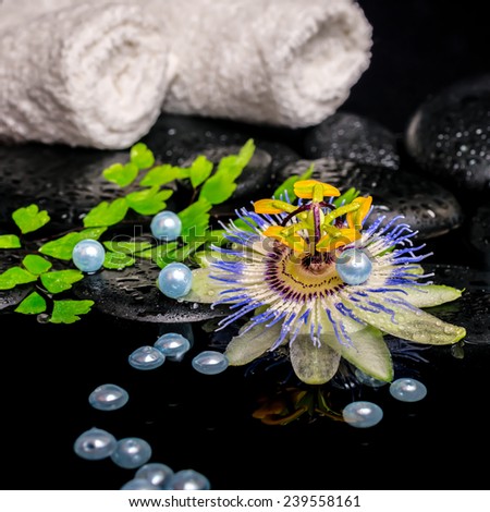 spa concept of passiflora flower, branch fern, towels, zen basalt stones with drops and pearl beads in dark water, closeup