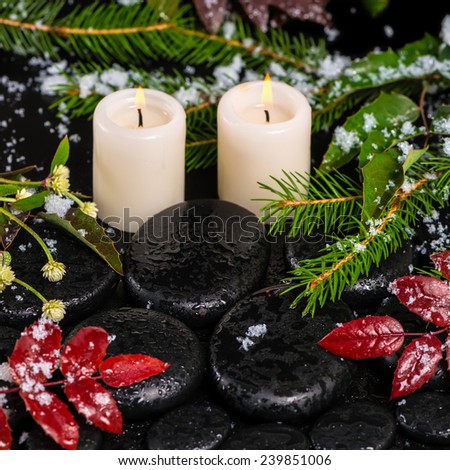 winter spa concept of red leaves with drops, snow, evergreen branches and candles on zen stones, closeup