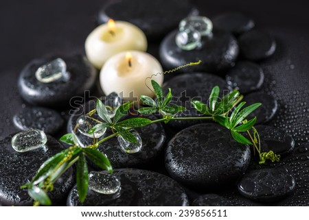 beautiful spa concept of green twig passionflower with tendril, ice and candles on zen basalt stones with drops