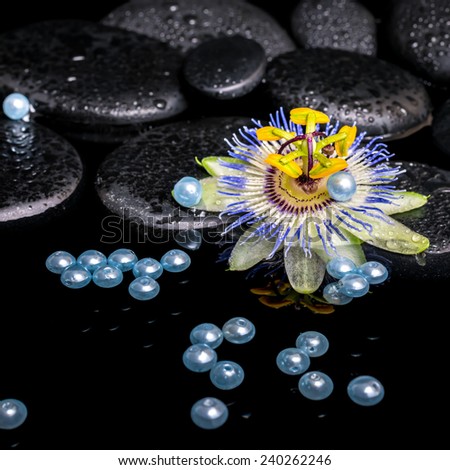 beautiful spa setting of passiflora flower, zen stones with drops and pearl beads in reflection water, closeup