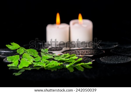 beautiful spa concept of green branch Adiantum fern with drops and candles on zen basalt stones in reflection water, closeup