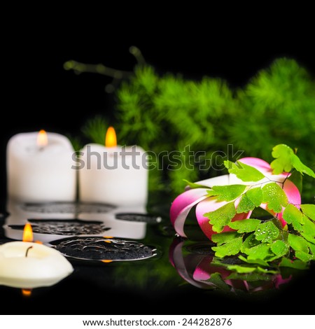 spa background of plumeria flower, green branch fern with drops and candles on zen basalt stones in reflection water, closeup