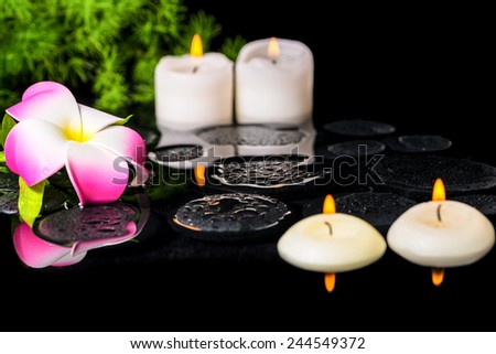 spa background of plumeria flower, green branch Asparagus and candles on zen basalt stones with drops in reflection water